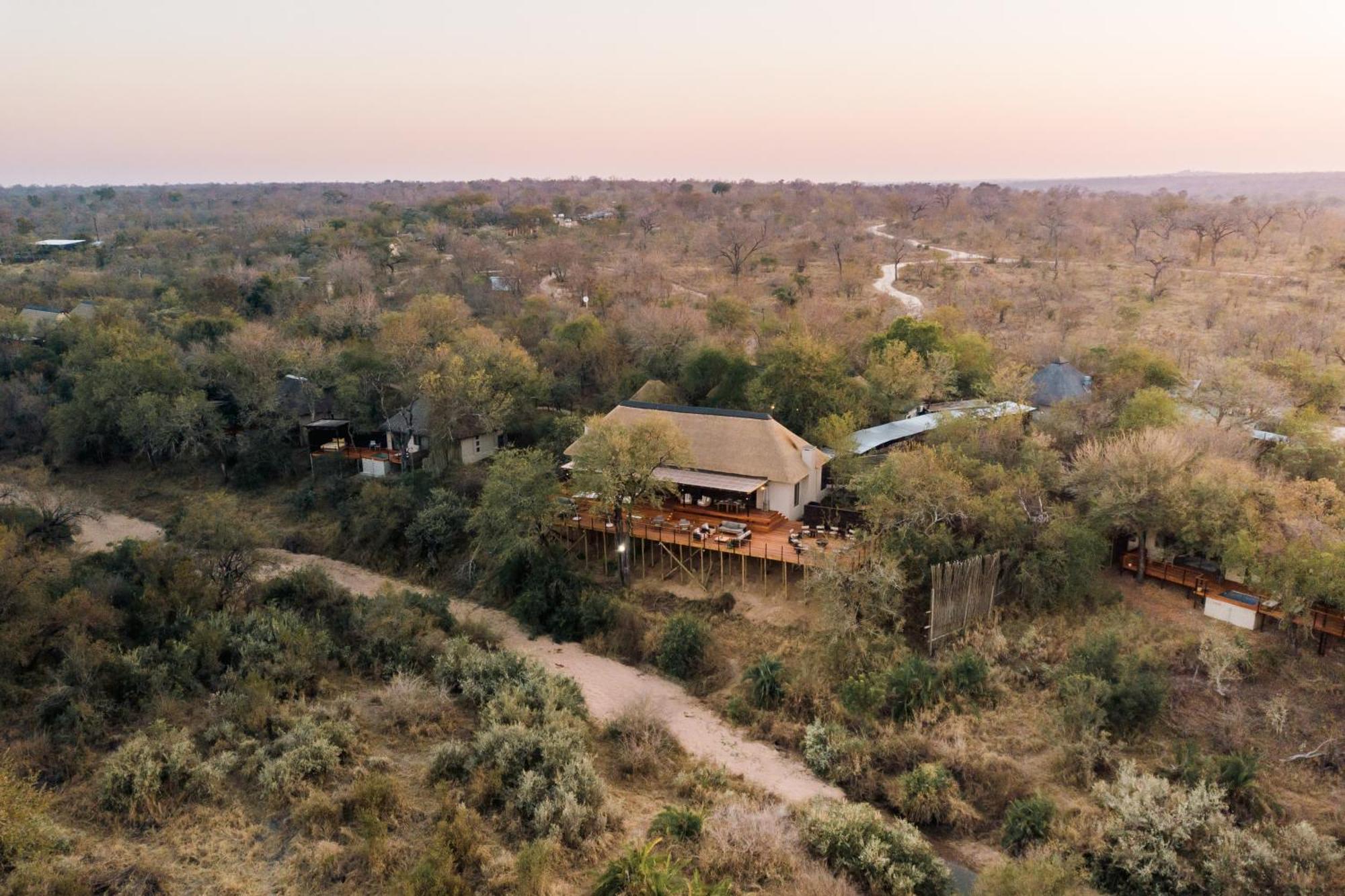 Thornybush Simbambili Lodge سابس ساند جيم ريسير المظهر الخارجي الصورة