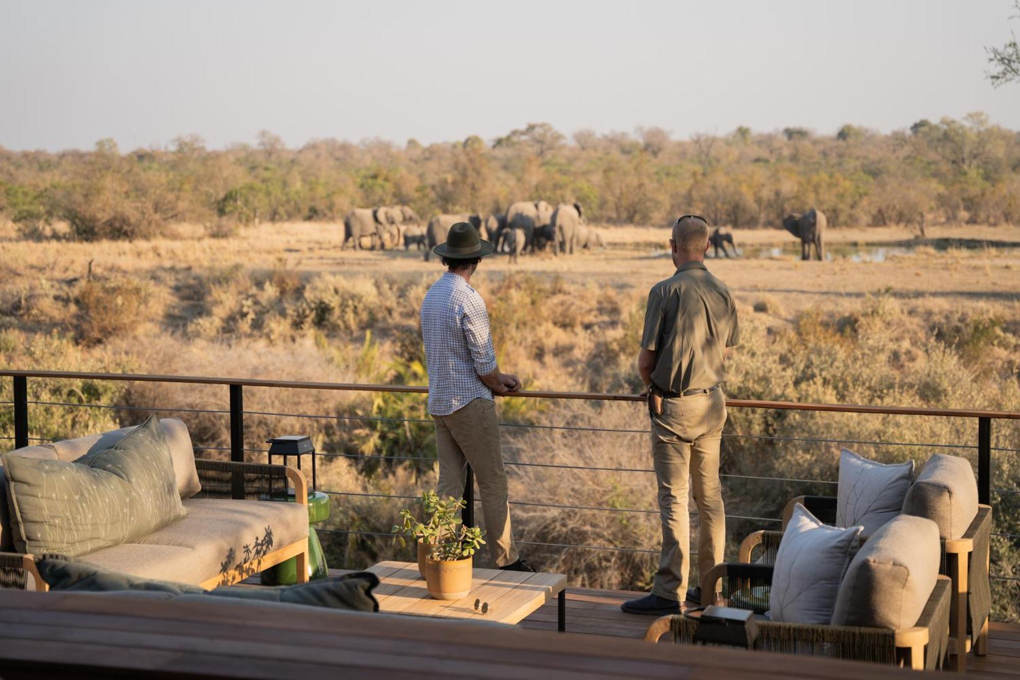 Thornybush Simbambili Lodge سابس ساند جيم ريسير المظهر الخارجي الصورة