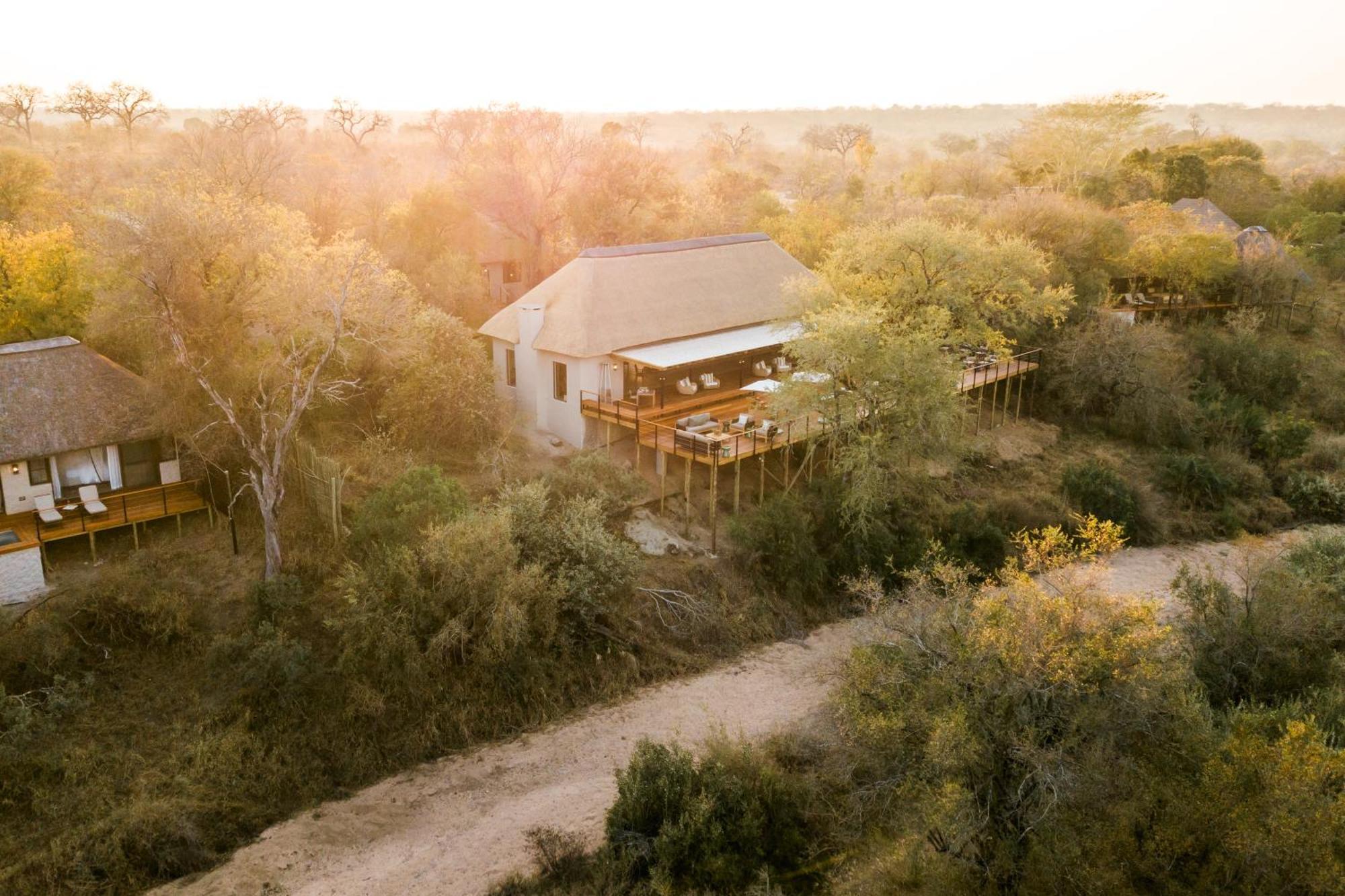 Thornybush Simbambili Lodge سابس ساند جيم ريسير المظهر الخارجي الصورة